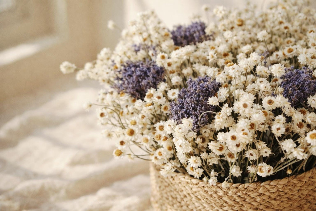 Dried flower basket ammobium and lavender natural home decor stabilized flowers