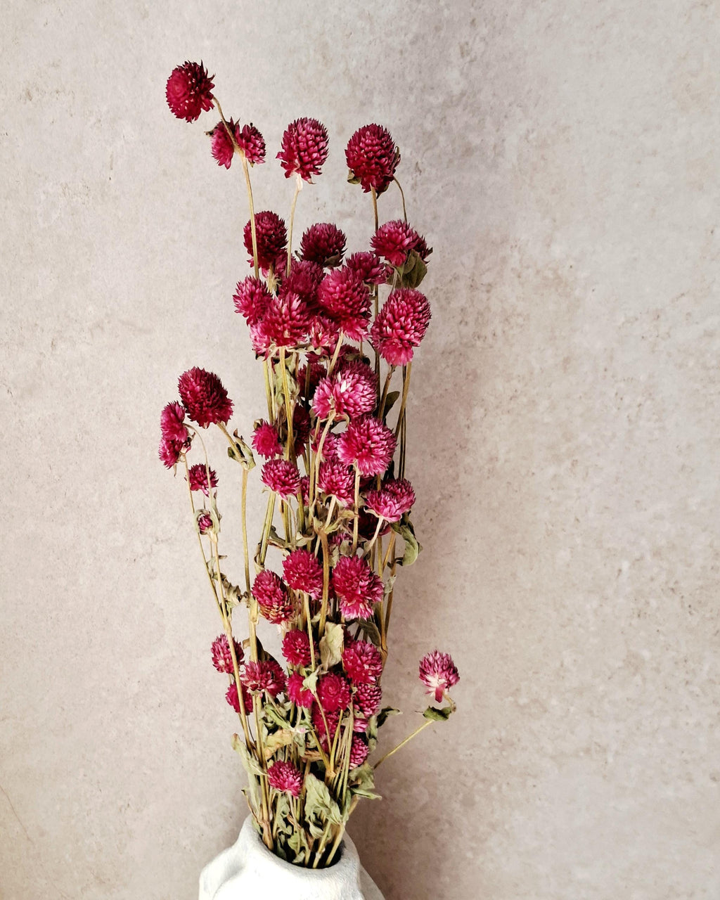 Bright Pink Dried Gomphrena Bouquet, Preserved Flowers, Natural Home Decor, Boho Minimalist Floral Arrangement, Ready to Ship