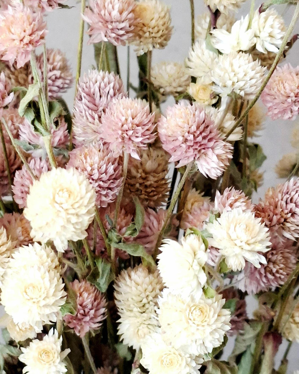 Dried Flower Bouquet, Pink & Cream Gomphrena, Natural Dried Flowers, Ready Bouquet, Boho Home Decor, Minimalist Floral Arrangement, Gift Ide