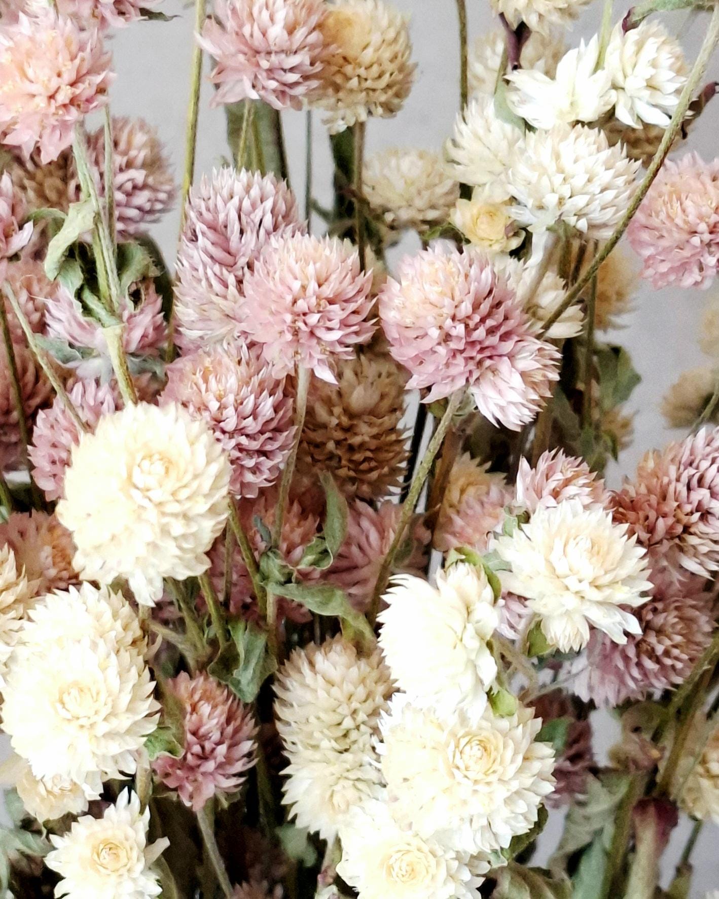 Dried Flower Bouquet, Pink & Cream Gomphrena, Natural Dried Flowers, Ready Bouquet, Boho Home Decor, Minimalist Floral Arrangement, Gift Ide
