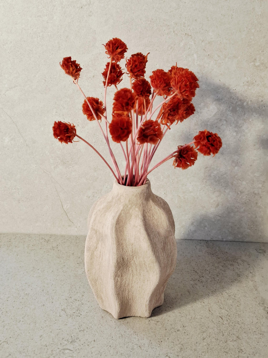 Red Stabilized Scabiosa Pods Stems, Preserved Flower Stems, Florist Supply, Dried Flower Decor, Wedding Florals, DIY Craft, Home Decor