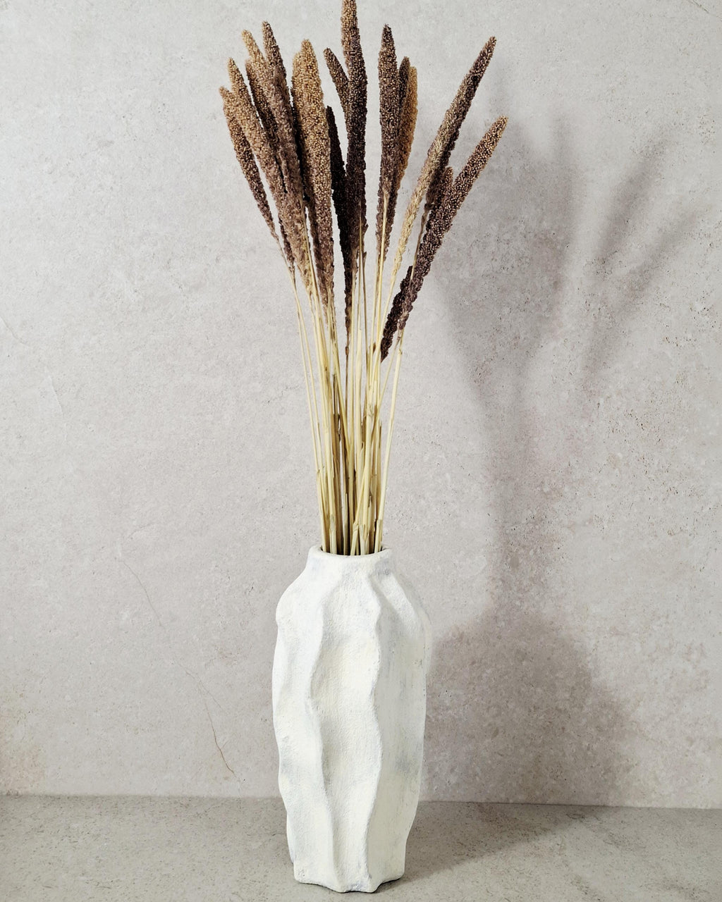 Dried Setaria Grass Natural Brown Beige, Bunny Tail Grass Stems, Floral Supply, Dried Grass for Florists, Neutral Decor