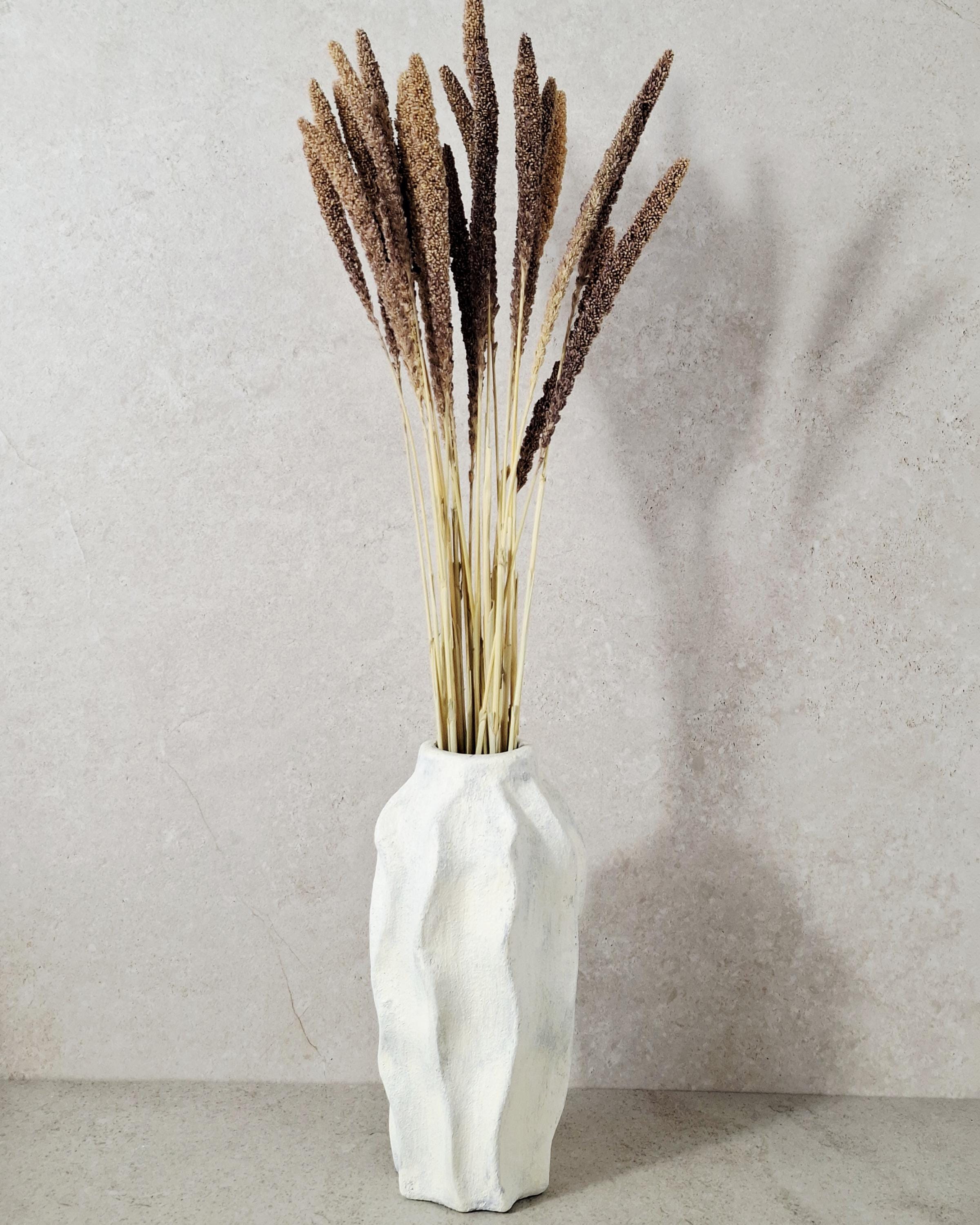 Dried Setaria Grass Natural Brown Beige, Bunny Tail Grass Stems, Floral Supply, Dried Grass for Florists, Neutral Decor