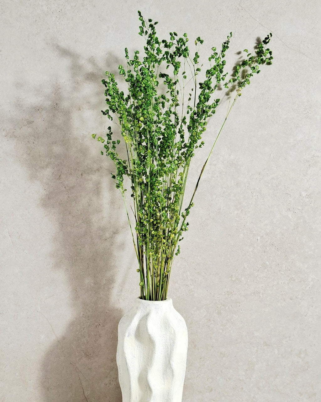 Dried Briza Grass Bouquet 55-60 cm, Vibrant Green, Natural Dried Grass, Minimalist Home Decor, Vase Filler