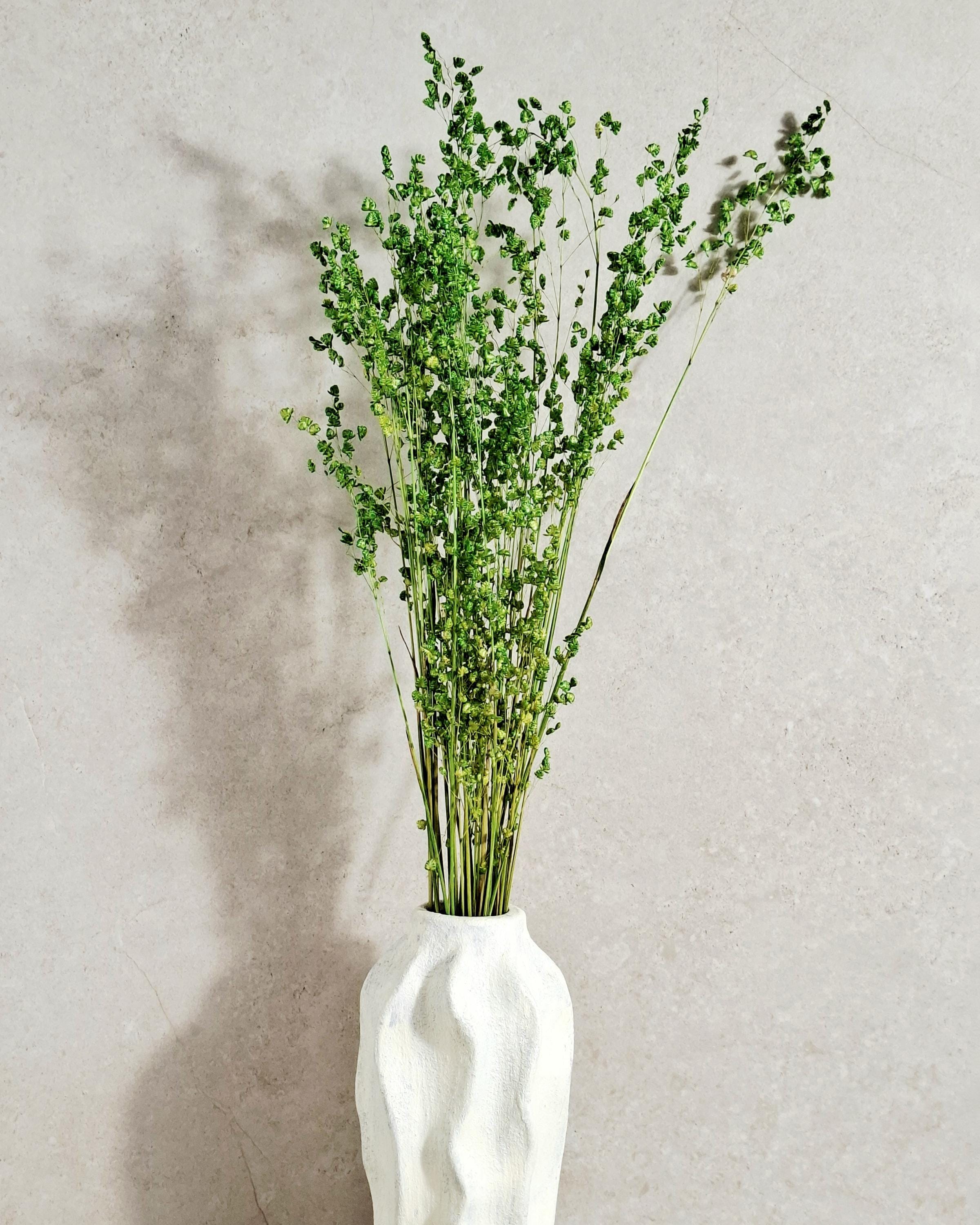 Dried Briza Grass Bouquet 55-60 cm, Vibrant Green, Natural Dried Grass, Minimalist Home Decor, Vase Filler