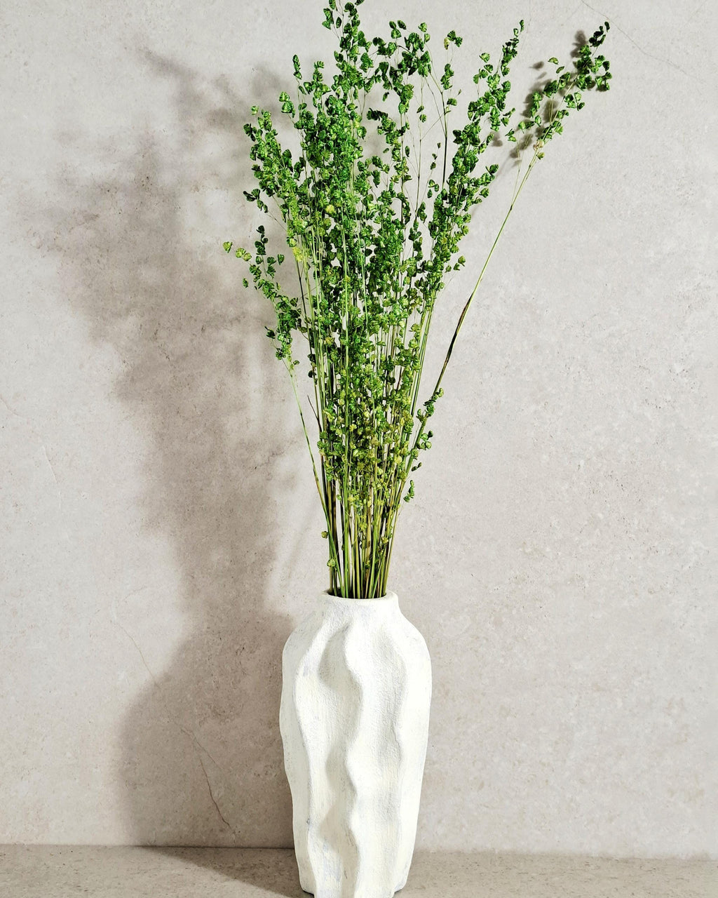 Dried Briza Grass Bouquet 55-60 cm, Vibrant Green, Natural Dried Grass, Minimalist Home Decor, Vase Filler