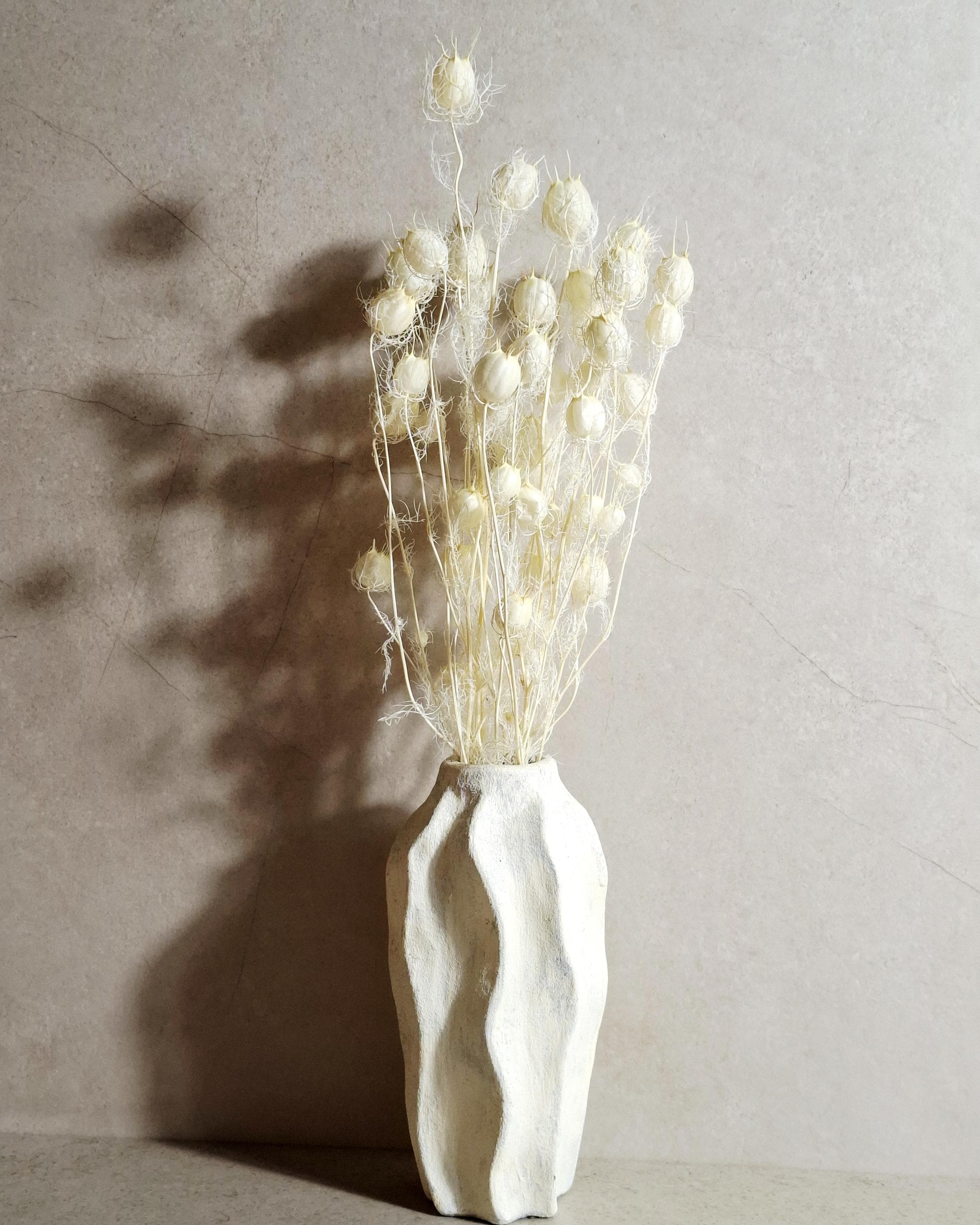Dried Nigella Pods White / Natural White Nigella Stems / Botanical Floral Supply / Wedding Flowers / DIY Craft Decor
