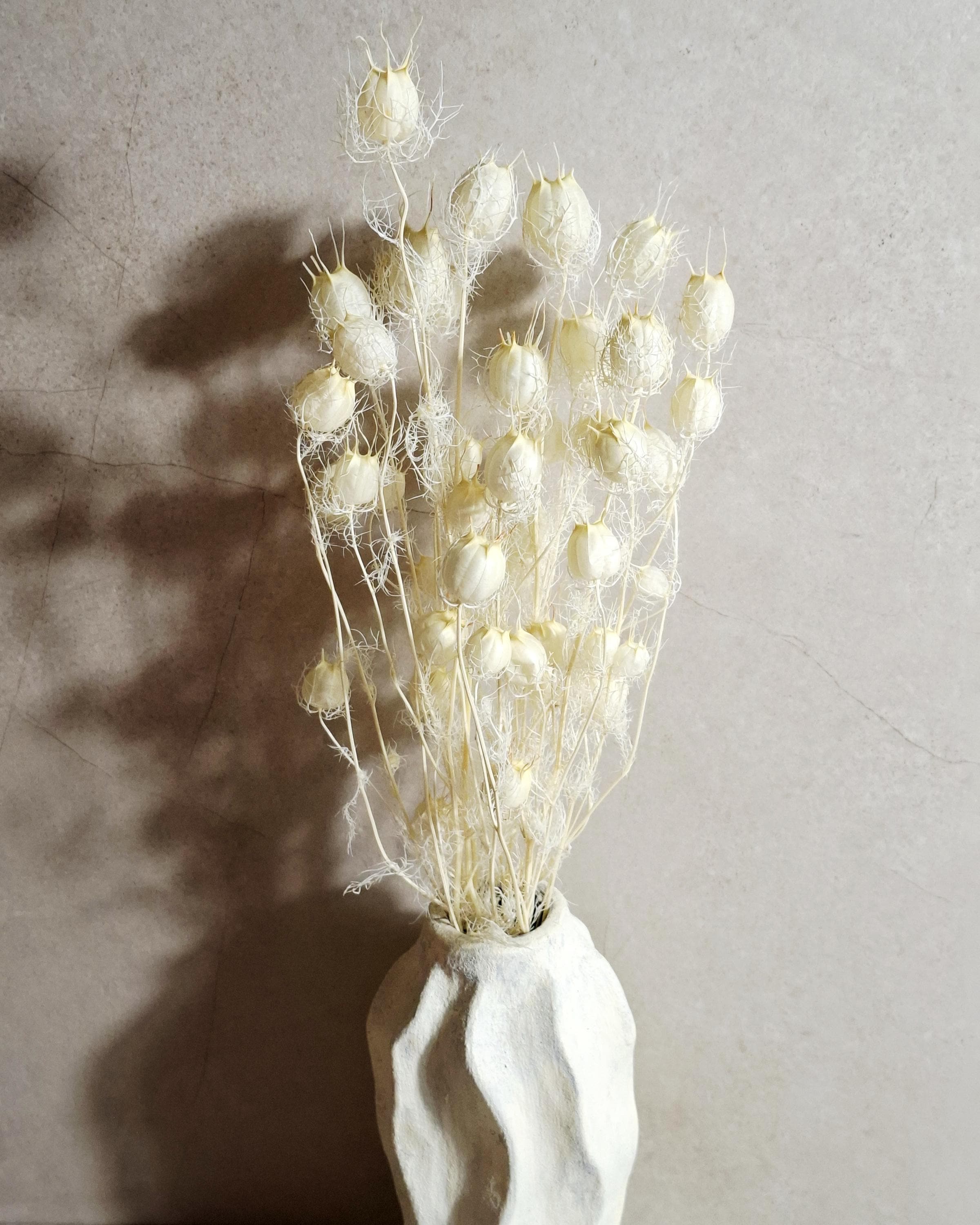 Dried Nigella Pods White / Natural White Nigella Stems / Botanical Floral Supply / Wedding Flowers / DIY Craft Decor