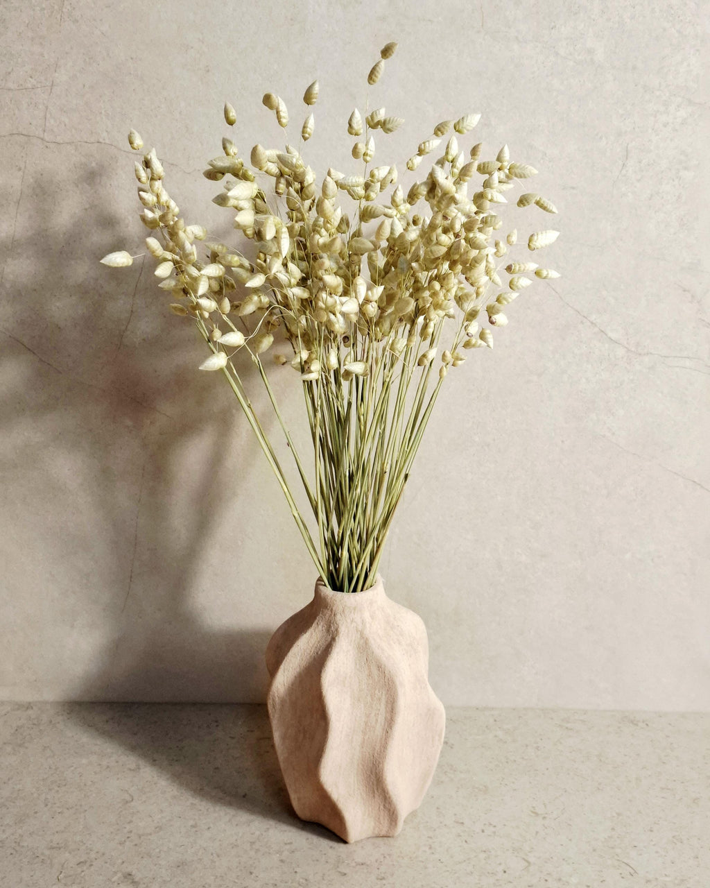 Natural Dried Briza Maxima Green | Bunny Tail Grass | Boho Wedding Flowers | Rustic Home Decor | Dried Grass Stems.