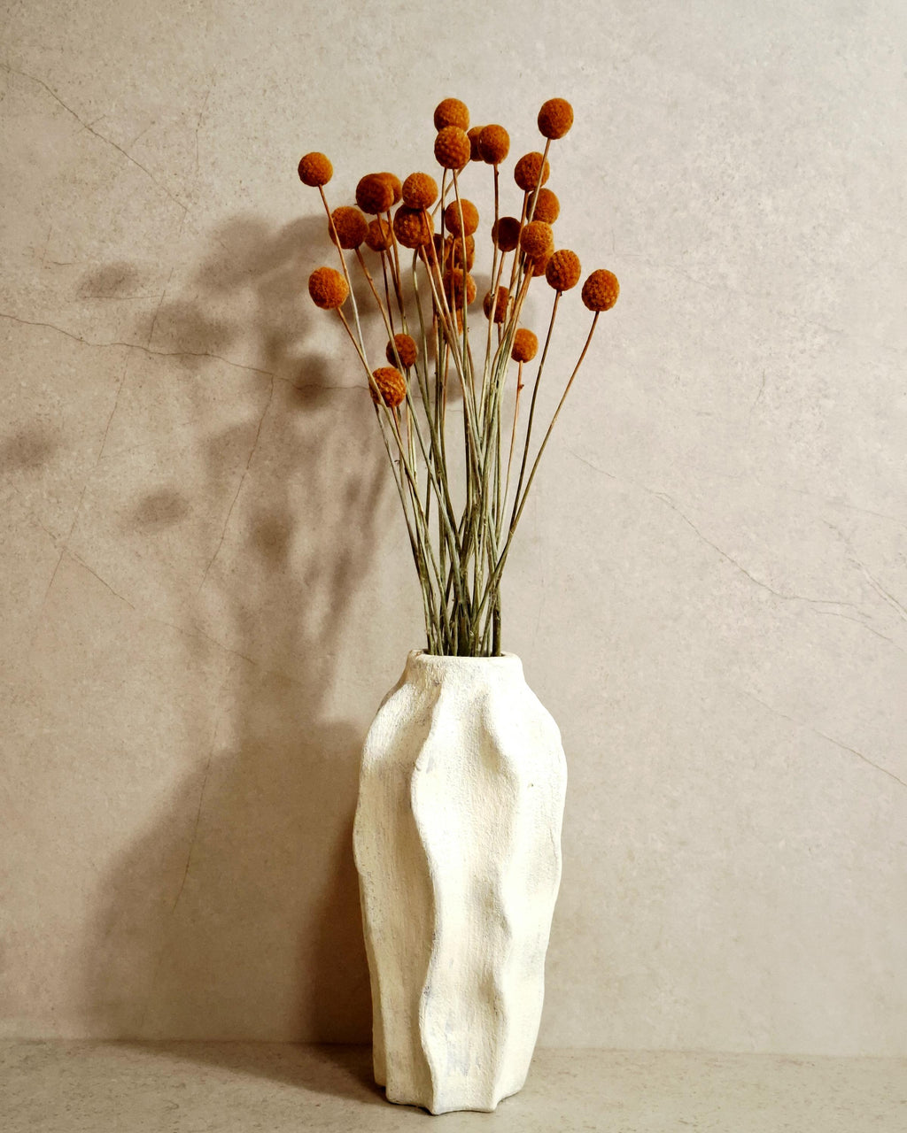 Dried Craspedia Stems Light Brown (Billy Buttons), Natural Dried Flowers, Floristry Supply, DIY, Home Decor, 15 Stems