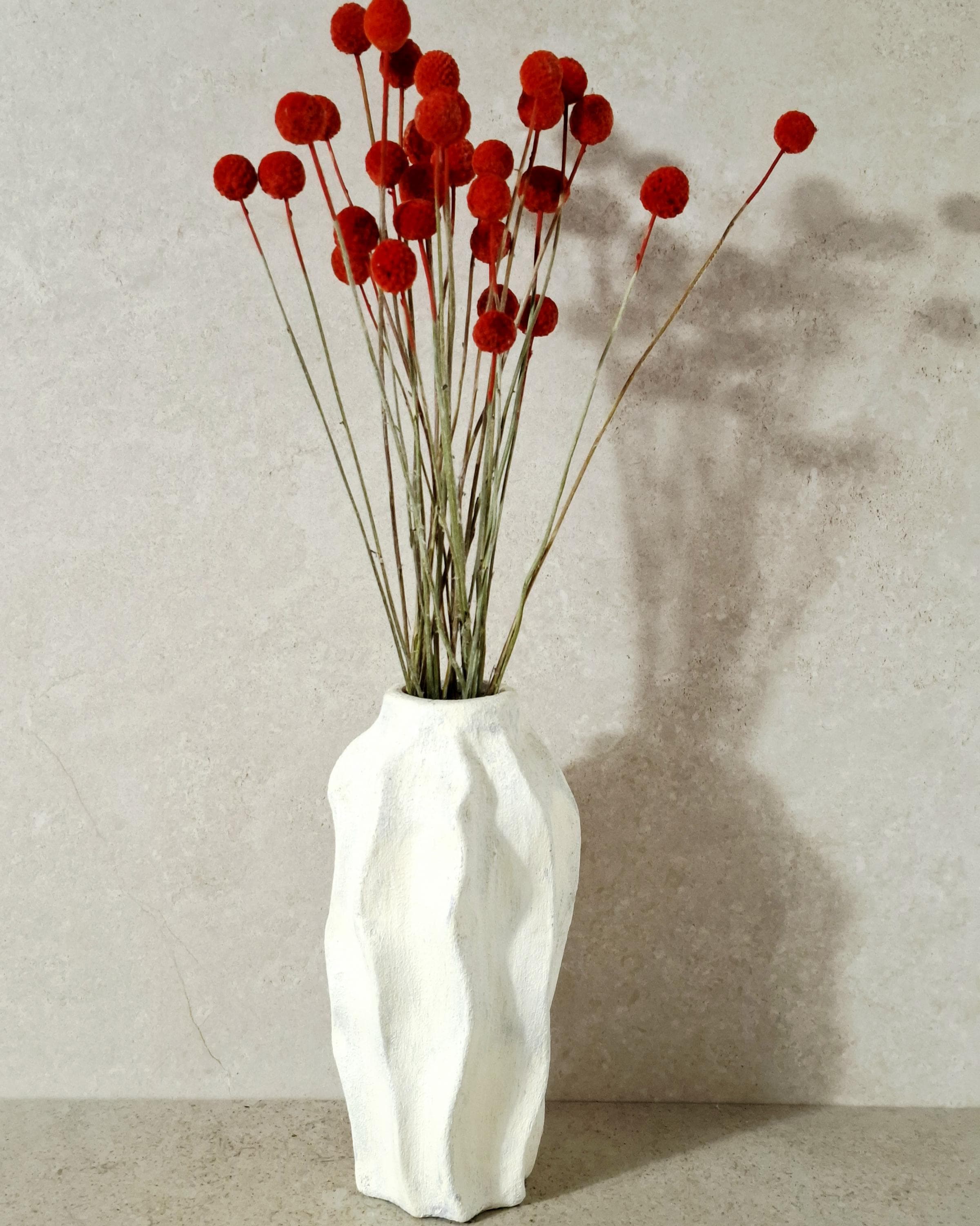 Dried Craspedia Stems Bright Red (Billy Buttons), Dyed Dried Flowers, Floristry Supply, DIY Craft, Home Decor, 15 Stems