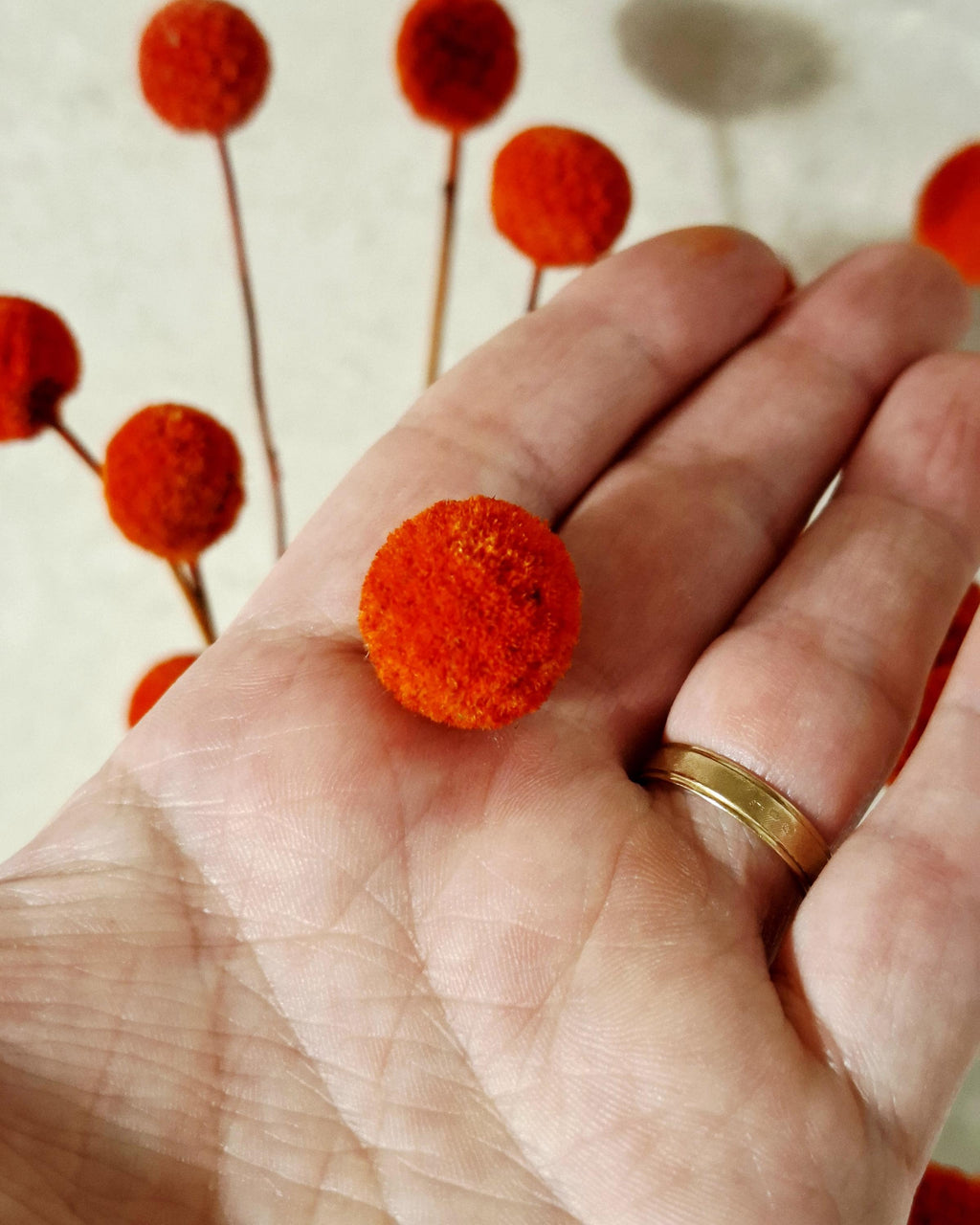 Dried Craspedia Stems Billy Buttons, Yellow Dried Flowers, Floristry Supply, DIY Craft Flowers, Home Decor Stems