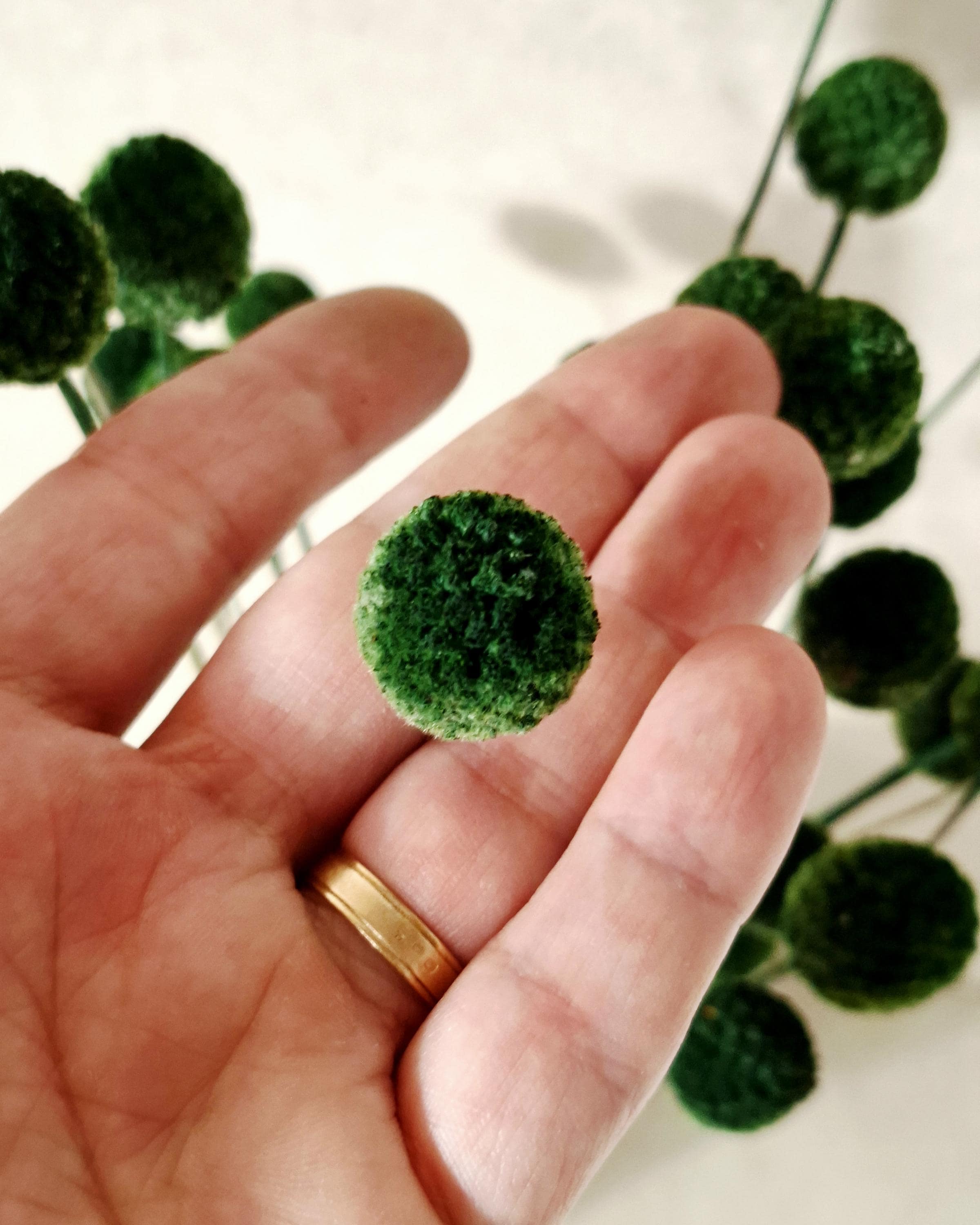 Dried Craspedia Stems Dark Green (Billy Buttons), Dyed Dried Flowers, Floristry Supply, DIY Craft, Home Decor, 15 Stems