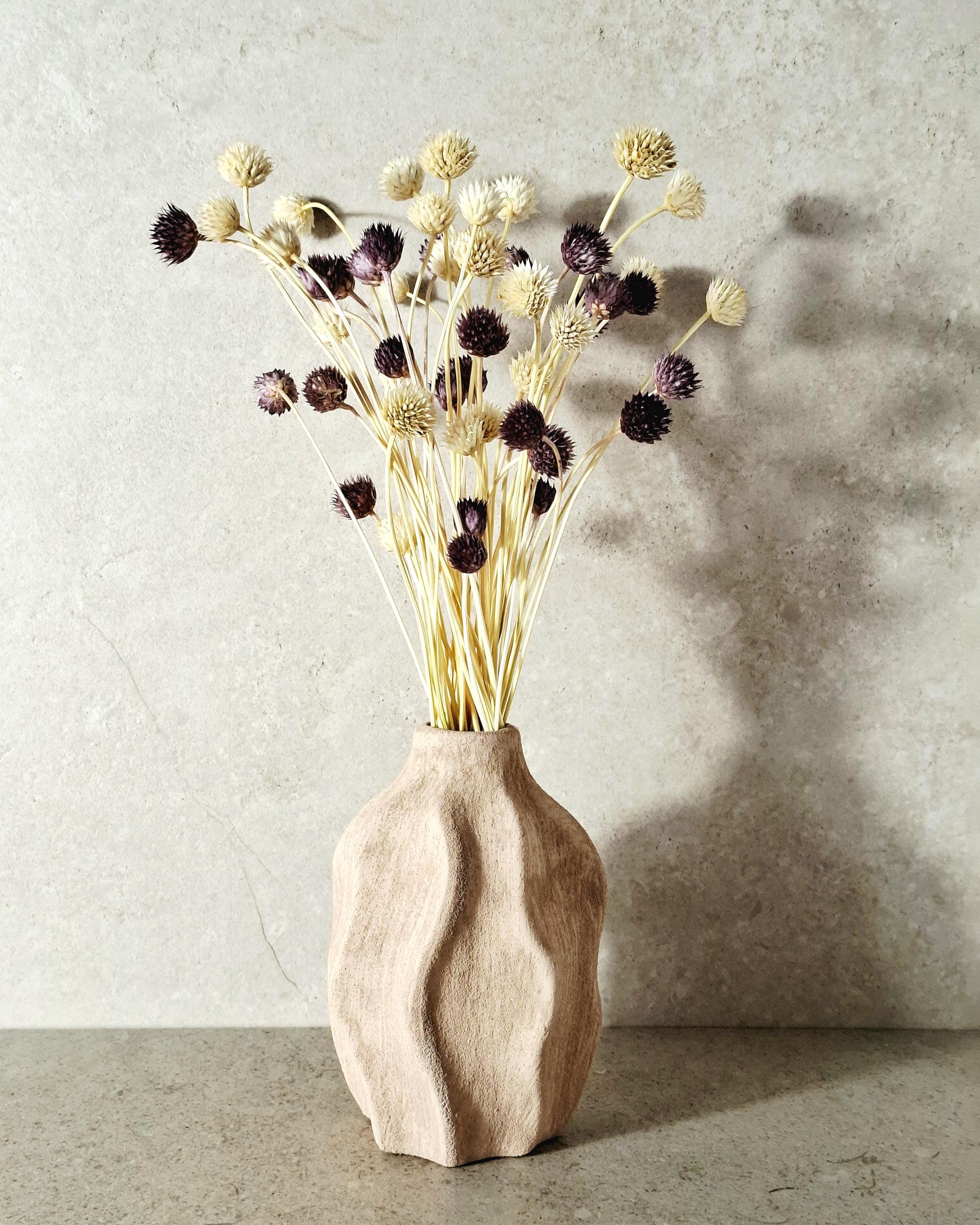 Purple Cream Dried Cephalaria Stems, Natural Two Tone Flowers, Neutral Floral Decor, Rustic Bouquet Fillers, Preserved Flowers