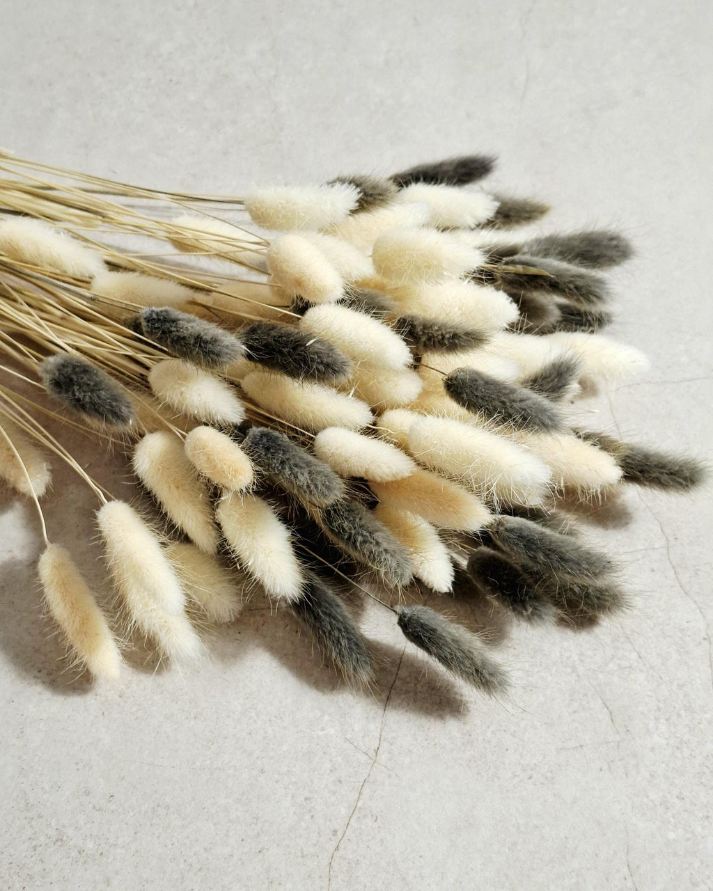 Neutral Lagurus Stems Mix, Cream and Grey Bunny Tails, Dried Flowers Bulk, Minimalist Floral Supply, Boho Decor Stems, DIY Arrangement