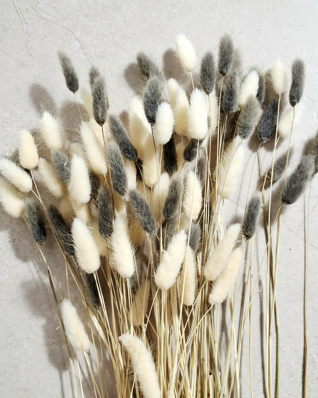 Neutral Lagurus Stems Mix, Cream and Grey Bunny Tails, Dried Flowers Bulk, Minimalist Floral Supply, Boho Decor Stems, DIY Arrangement