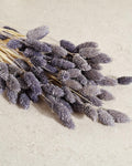 Lavender Dried Phalaris Stems, Preserved Flowers, Natural Dried Grass, Floral Supply, DIY Crafts, Wedding Decor, Home Decor, Boho Decor