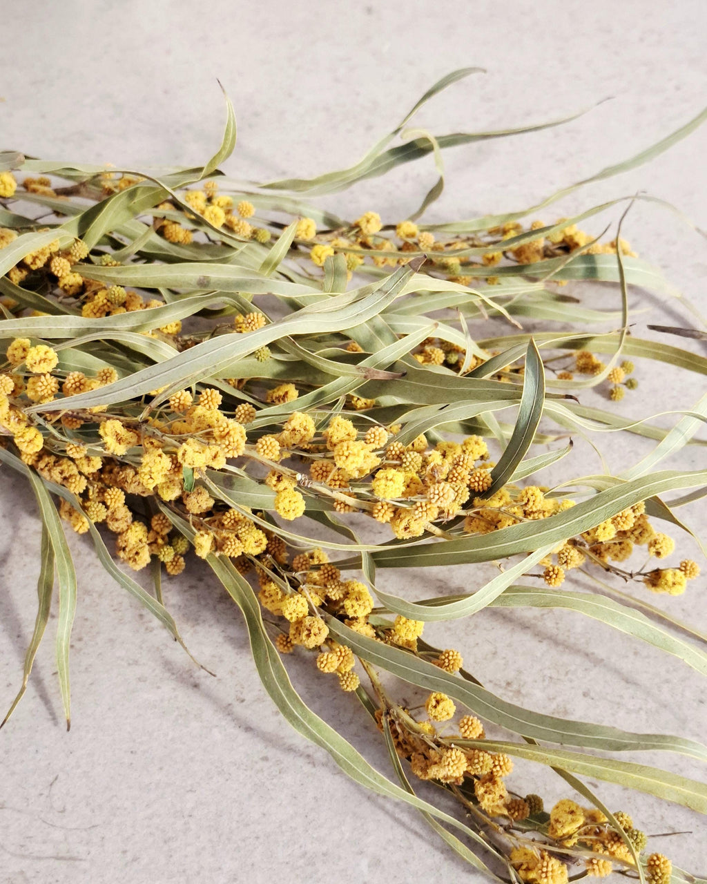 Dried Mimosa Flowers | Yellow Natural Bouquet | Boho Home Decor | Rustic Floral Arrangement | Wedding Decor | 5 Stems