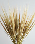 Natural Dried Barley Stems 55–60 cm, Dried Barley Bundle, Rustic Home Decor, Farmhouse Vase Filler, Boho Wedding Decor