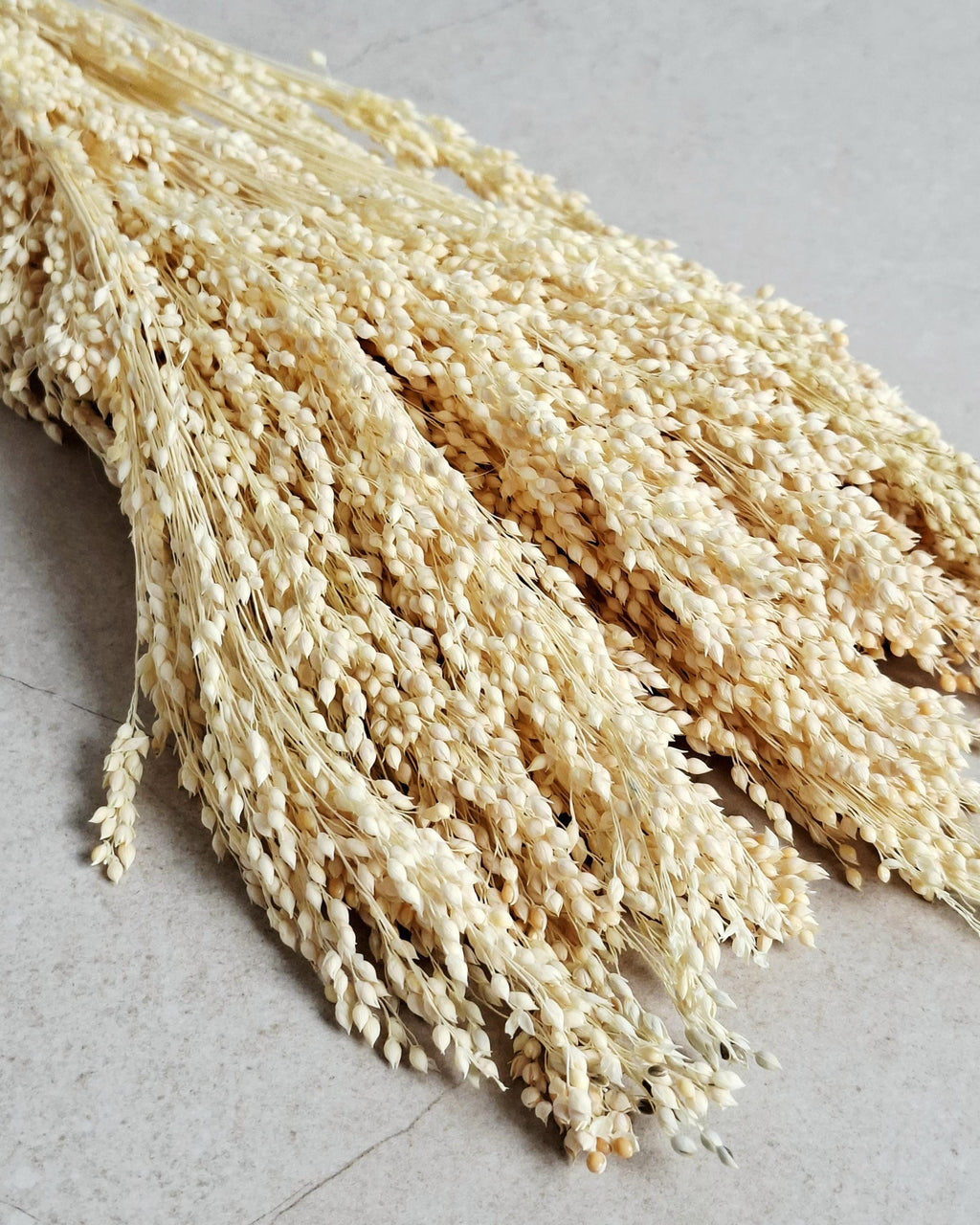 Natural Bleached Dried Stems 40–45 cm, Cream Dried Grass, Dried Flowers Bundle, Boho Decor, Wedding Decor, DIY Craft Material