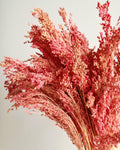 Muted Red Dried Millet Stems 40–45 cm, Dyed Dried Flowers, Floral Supply, Craft Material, DIY Decor, Florist Stems, Bulk Stems