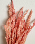 Dried Calamagrostis Pink Stems 55-60 cm, Soft Dusty Pink Reed Grass, Floral Supply, DIY Craft Material, Boho Vase Decor