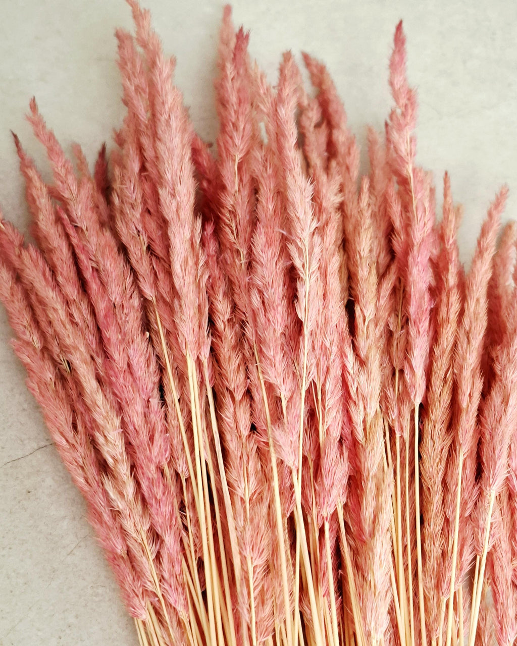 Dried Calamagrostis Pink Stems 55-60 cm, Soft Dusty Pink Reed Grass, Floral Supply, DIY Craft Material, Boho Vase Decor
