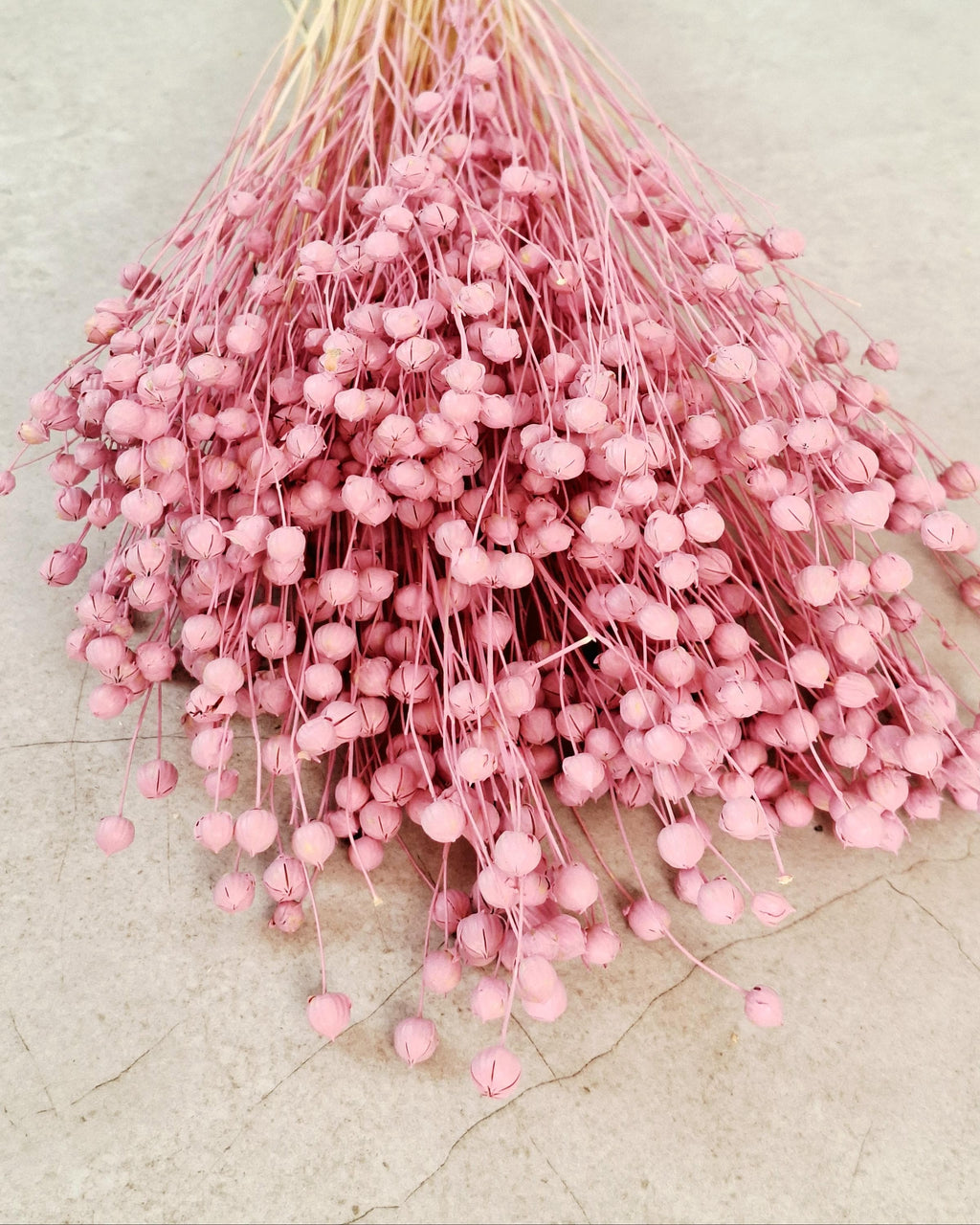 Pink Dyed Flax Stems 40–45 cm | Dried Flax Bouquet | Boho Floral Decor | Vase Arrangement | Wedding & Craft Supply
