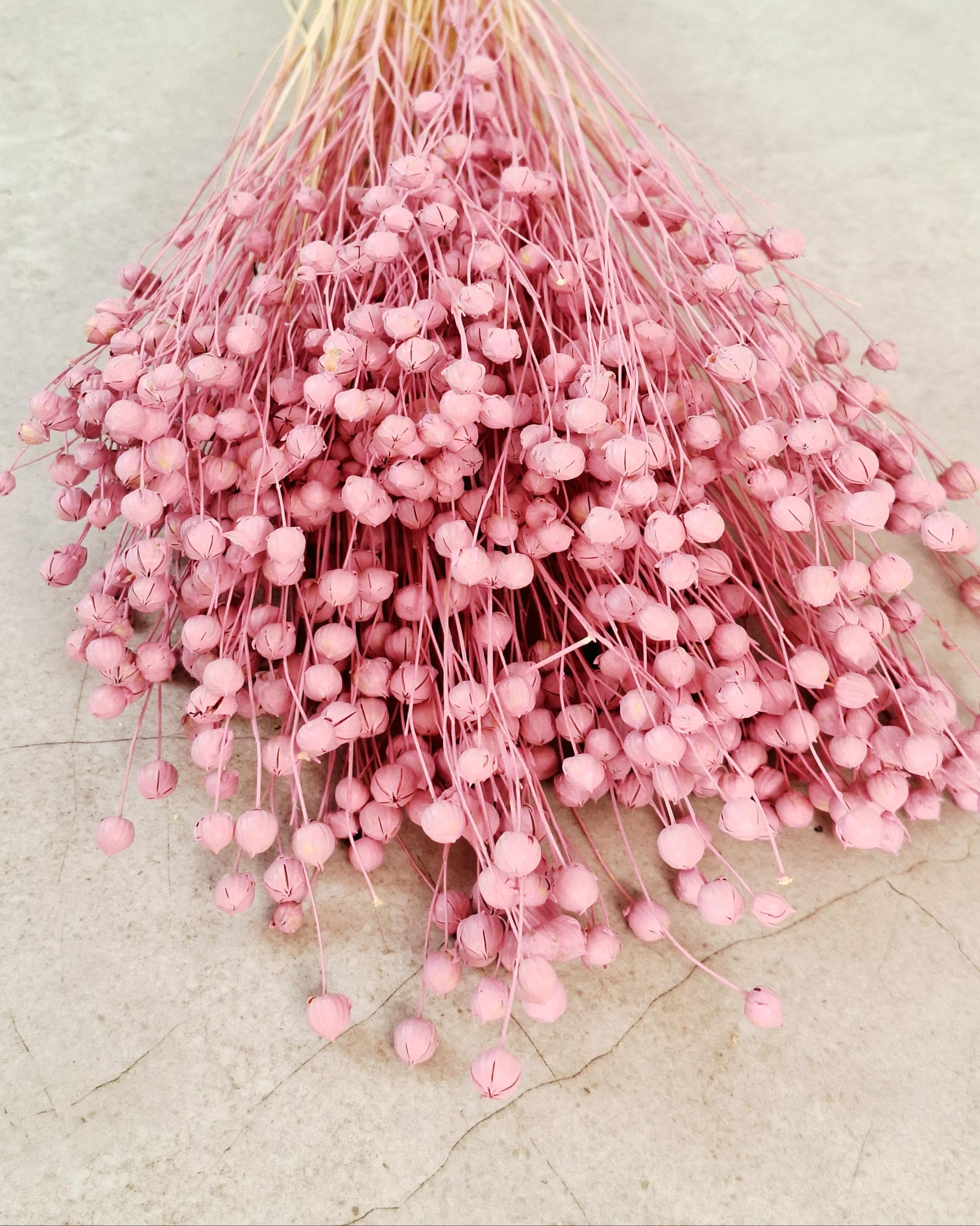 Pink Dyed Flax Stems 40–45 cm | Dried Flax Bouquet | Boho Floral Decor | Vase Arrangement | Wedding & Craft Supply