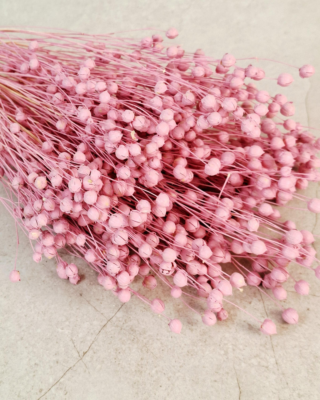 Pink Dyed Flax Stems 40–45 cm | Dried Flax Bouquet | Boho Floral Decor | Vase Arrangement | Wedding & Craft Supply