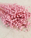 Pink Dyed Flax Stems 40–45 cm | Dried Flax Bouquet | Boho Floral Decor | Vase Arrangement | Wedding & Craft Supply