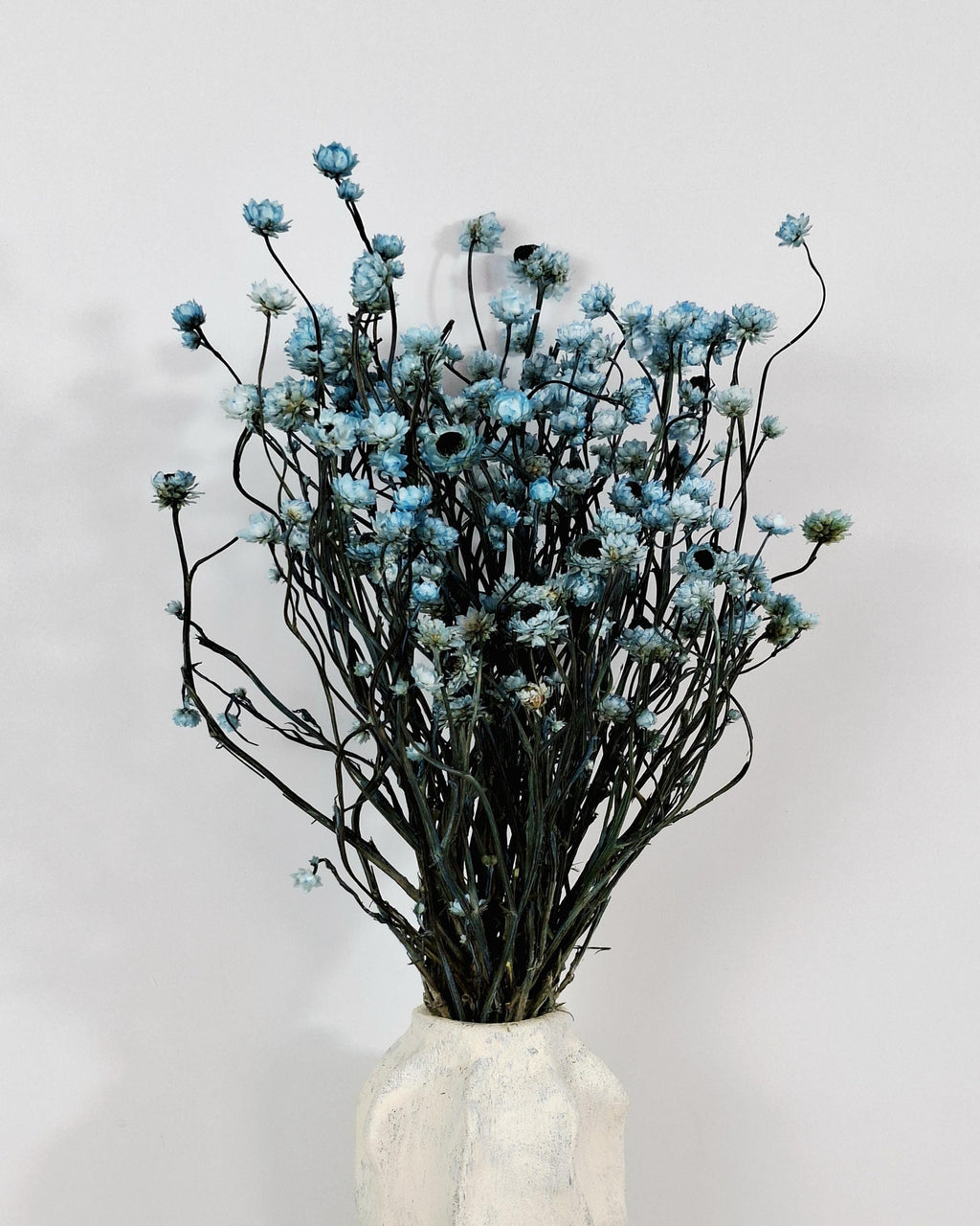 Soft Blue Ammobium Bouquet .Dried Flower Bouquet, Baby Blue Flowers, Minimalist Home Decor, Wedding Decor