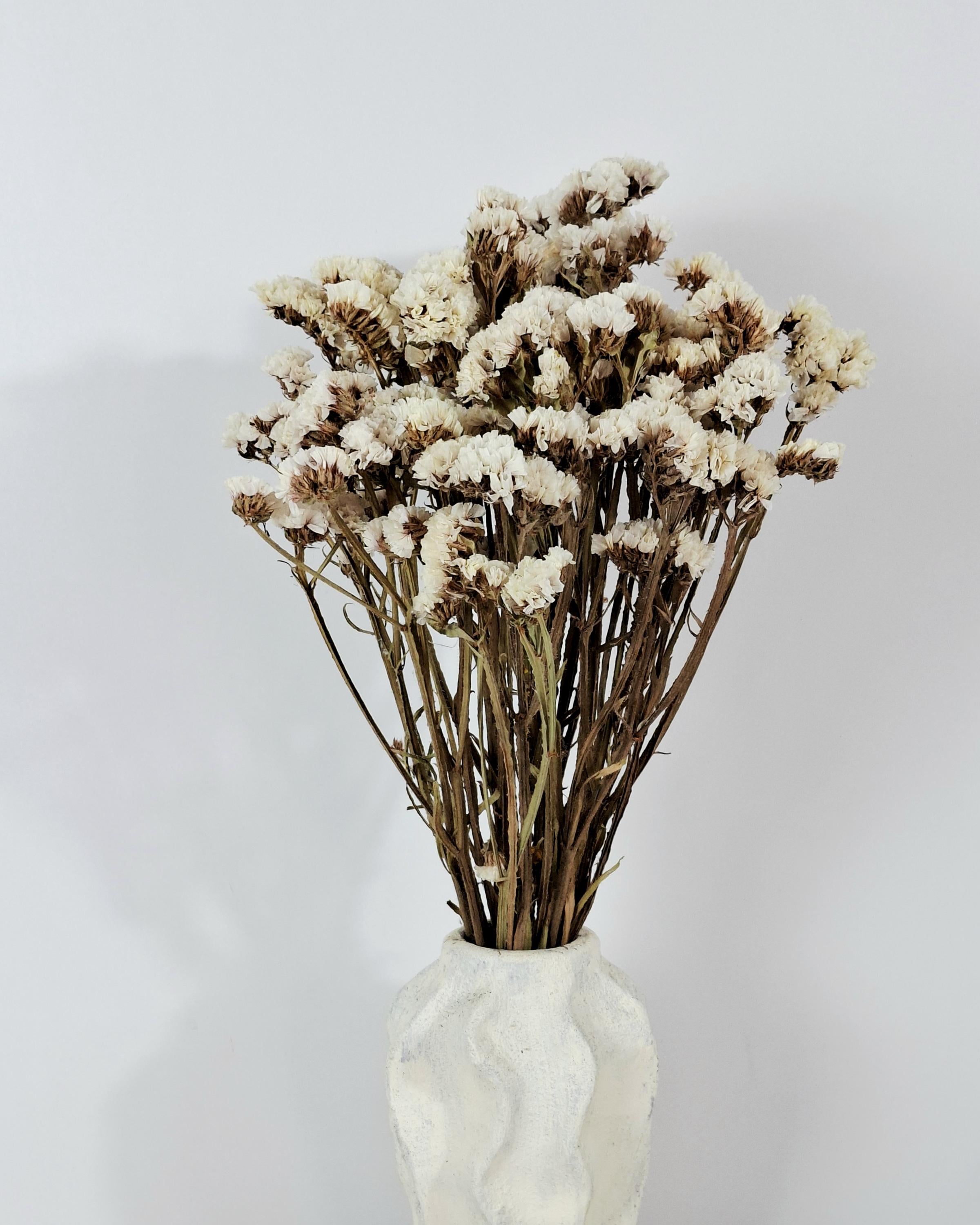 White Statice Bouquet, Dried Flowers, Limonium Bunch, Natural Home Decor, Wedding Decor, Craft Flowers, 100g