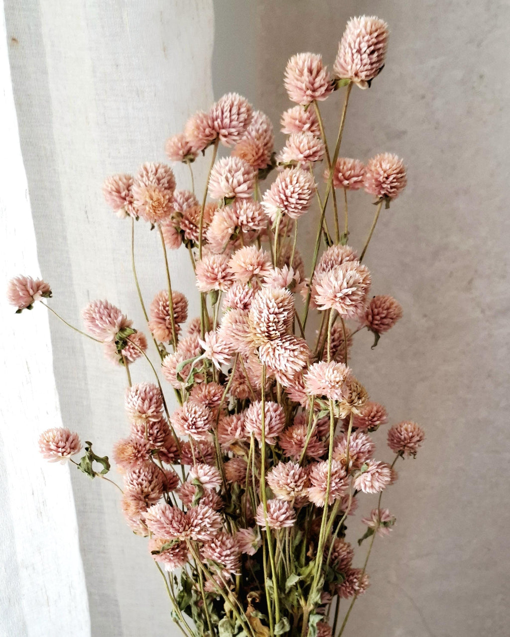 Pink Stabilized Gomphrena Bouquet, Dried Flower Bouquet, Natural Pink Flowers, Small Bouquet, Floral Home Decor, Gift for Her