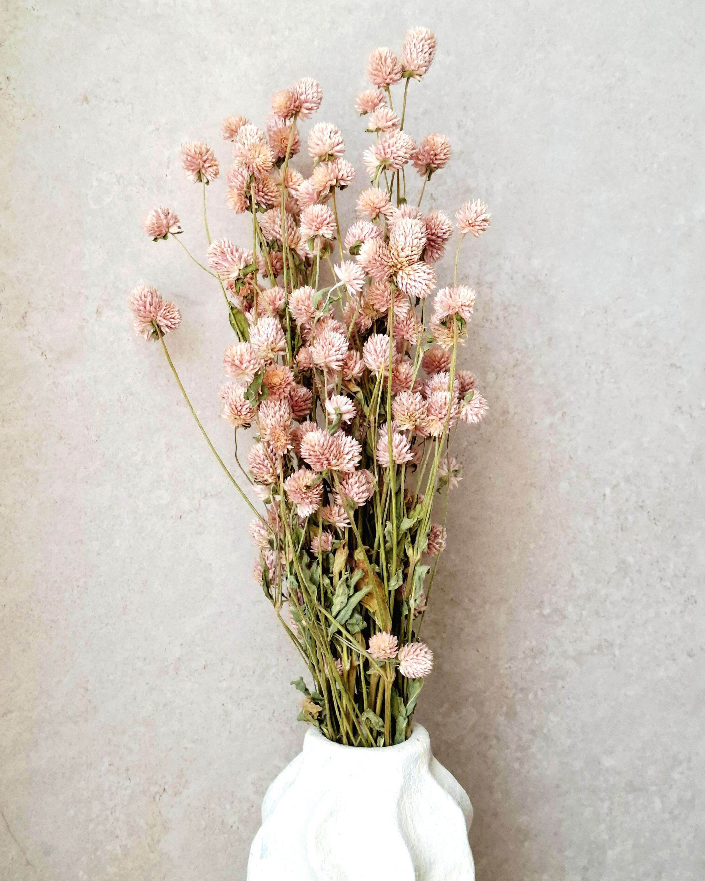Pink Stabilized Gomphrena Bouquet, Dried Flower Bouquet, Natural Pink Flowers, Small Bouquet, Floral Home Decor, Gift for Her