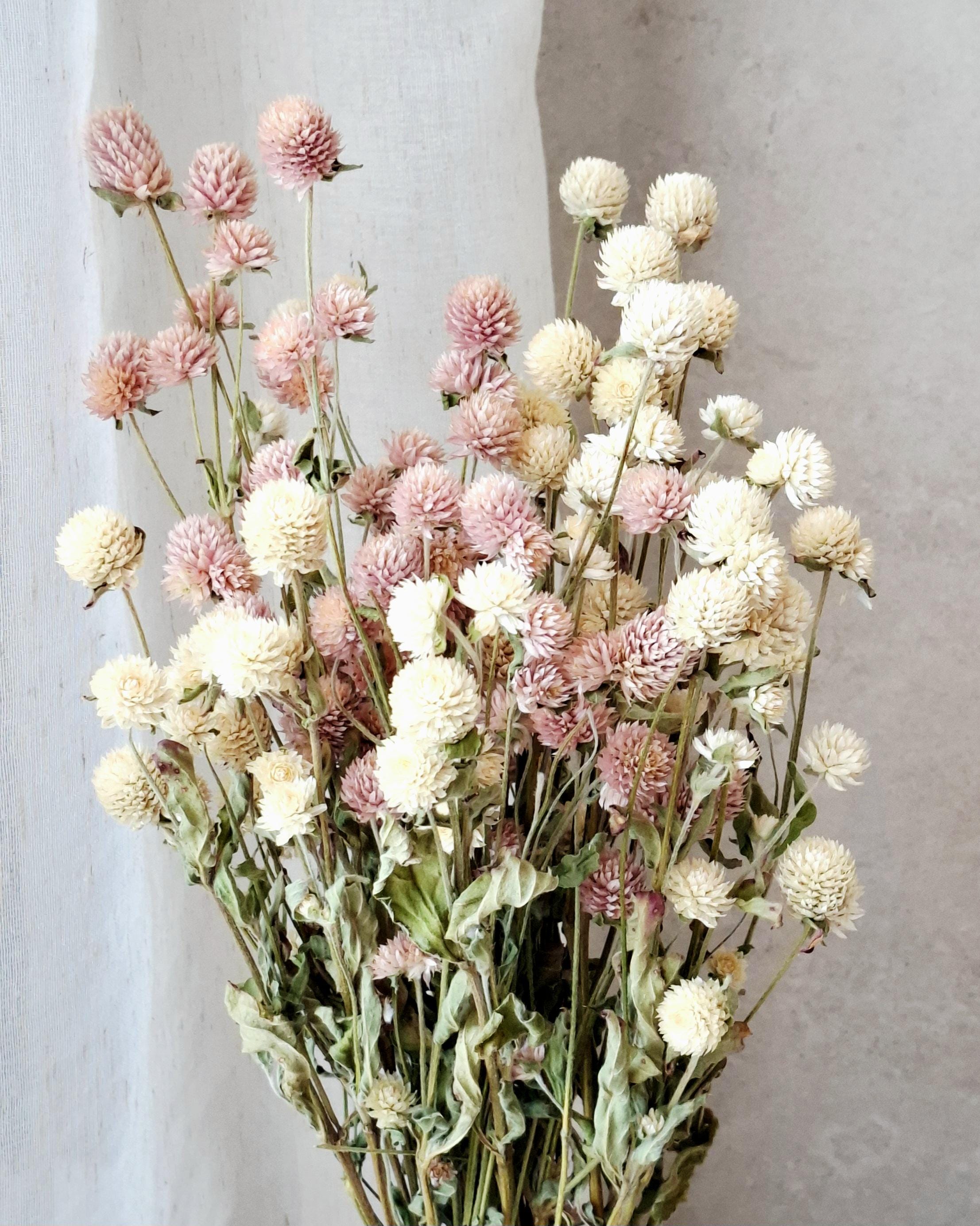Dried Flower Bouquet, Pink & Cream Gomphrena, Natural Dried Flowers, Ready Bouquet, Boho Home Decor, Minimalist Floral Arrangement, Gift Ide