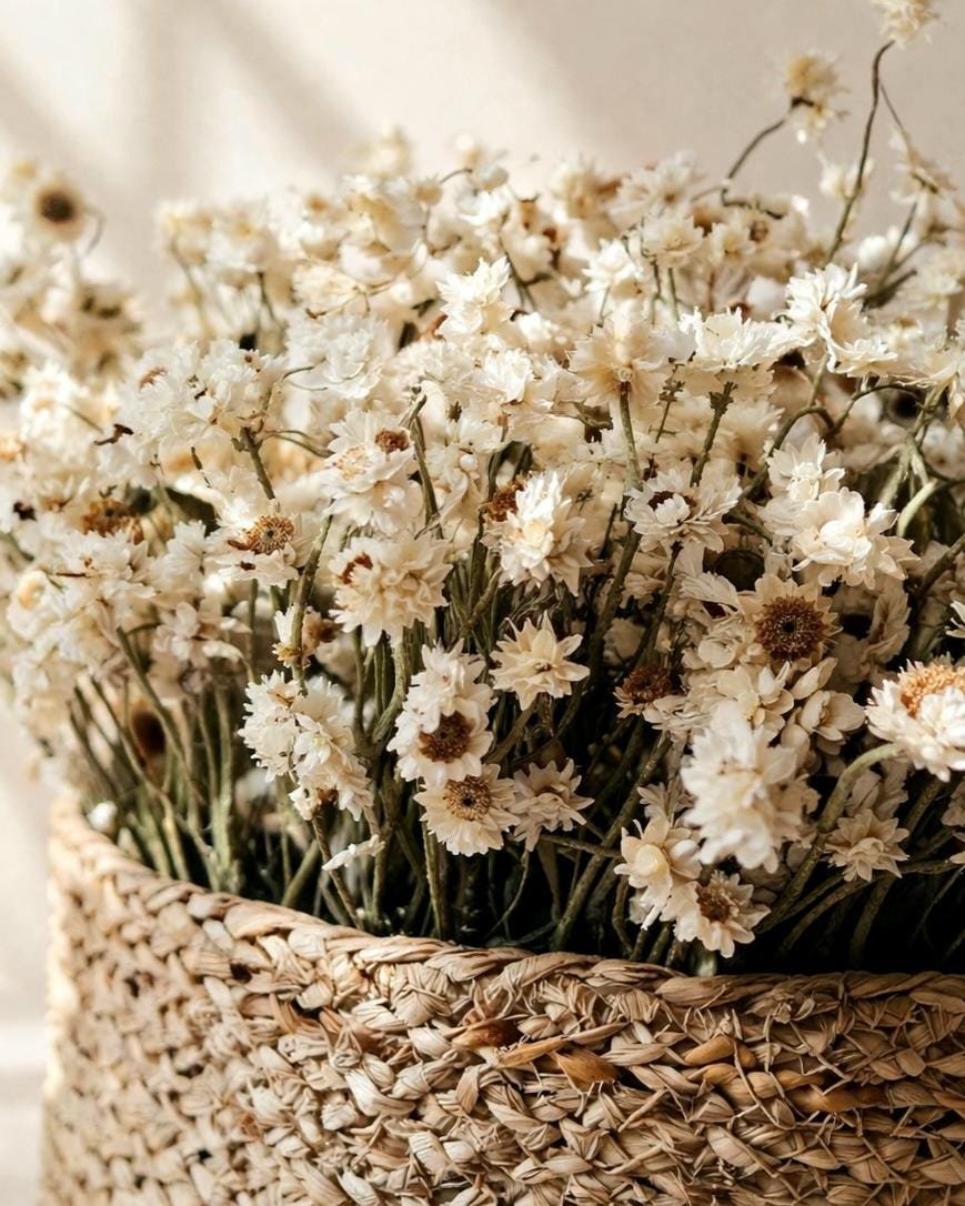 Dried Flower Basket Centerpiece, Ammobium Arrangement, Table Decor, Boho Farmhouse Home Decor, Kitchen Table Centerpiece