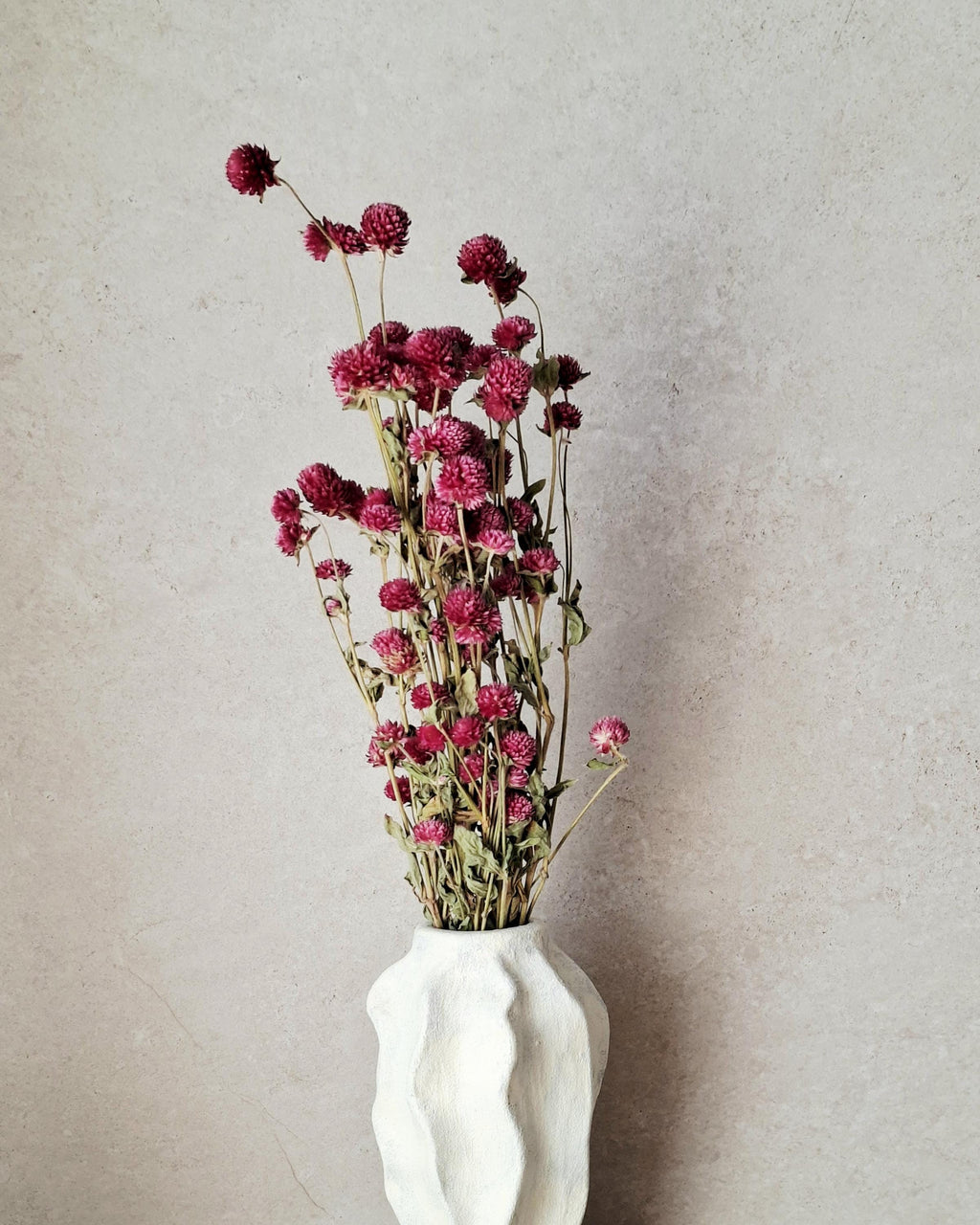 Pink Dried Gomphrena Stems, Dried Flowers for Florists, Bright Pink Flowers, Bouquet Supply, Vase Decor, DIY Floral Material