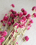 Pink Dried Gomphrena Stems, Dried Flowers for Florists, Bright Pink Flowers, Bouquet Supply, Vase Decor, DIY Floral Material