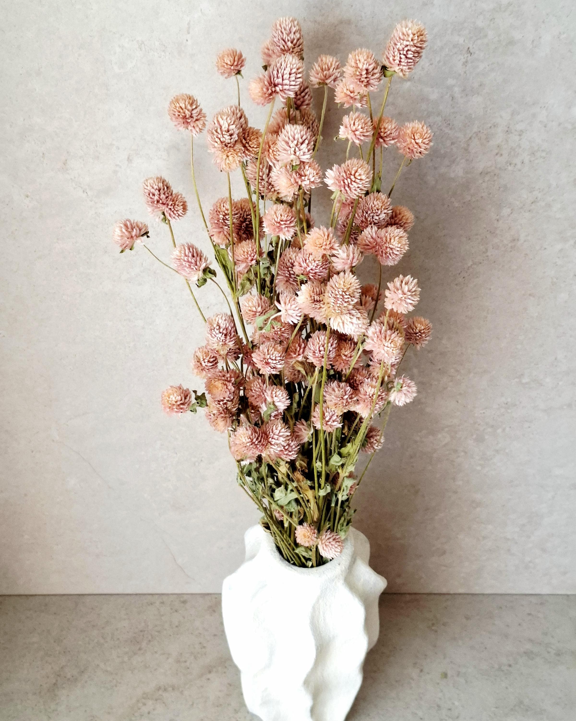 Blush Pink Dried Gomphrena Stems, Soft Pink Dried Flowers, Dried Flower Stems for Florists, Wedding Decor, Vase Flowers, DIY Floral