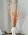 Dried Pony Grass Bundle 60 cm | Peach Coral Natural Dried Grass | Boho Floral Supply & Ready Bouquet | Vase Decor, Interior Styling
