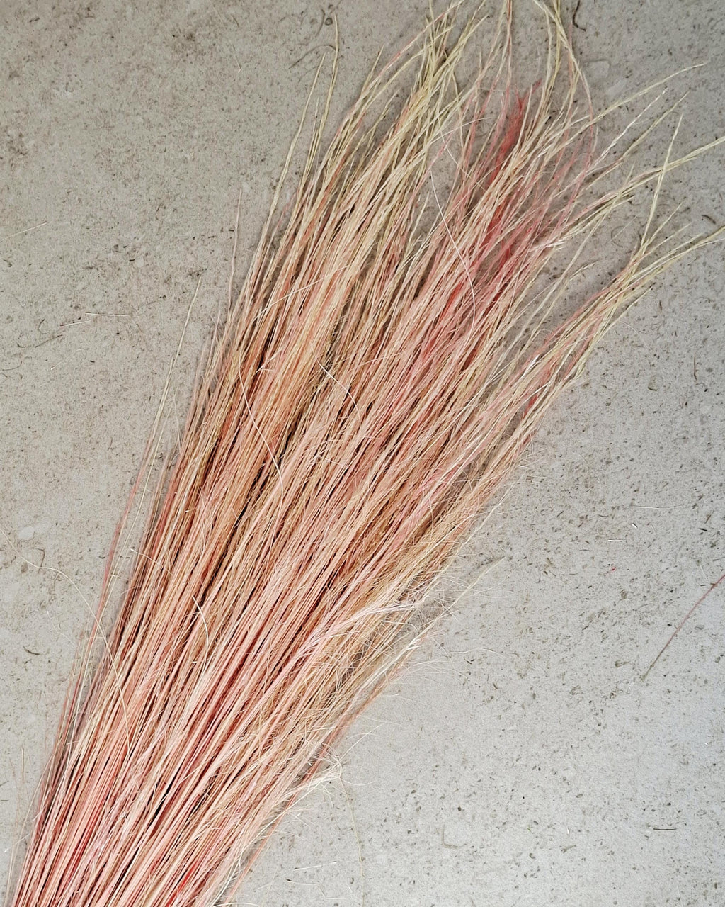 Dried Pony Grass Bundle 60 cm | Peach Coral Natural Dried Grass | Boho Floral Supply & Ready Bouquet | Vase Decor, Interior Styling