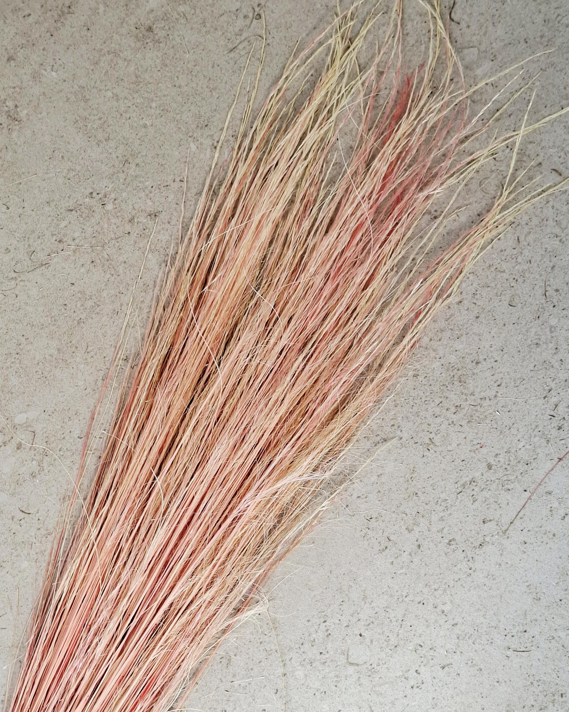 Dried Pony Grass Bundle 60 cm | Peach Coral Natural Dried Grass | Boho Floral Supply & Ready Bouquet | Vase Decor, Interior Styling