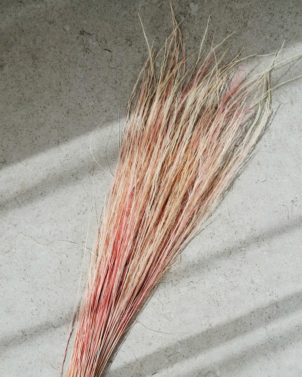 Dried Pony Grass Bundle 60 cm | Peach Coral Natural Dried Grass | Boho Floral Supply & Ready Bouquet | Vase Decor, Interior Styling