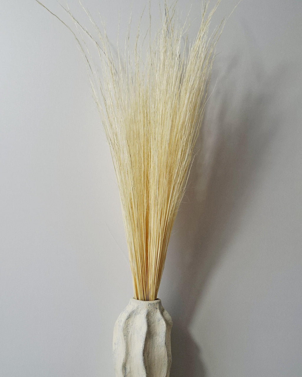 Dried Pony Grass Bundle 60 cm | Natural Beige Pampas Style | Minimalist Home Decor | Boho Vase Arrangement | Neutral Dried Grass