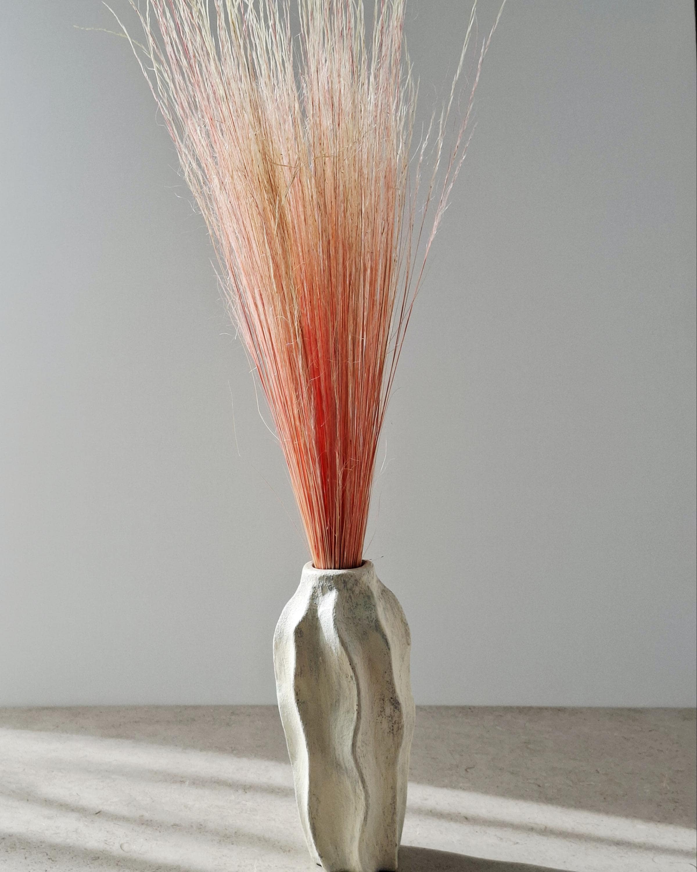 Dried Pony Grass Bundle 60 cm | Peach Coral Natural Dried Grass | Boho Floral Supply & Ready Bouquet | Vase Decor, Interior Styling