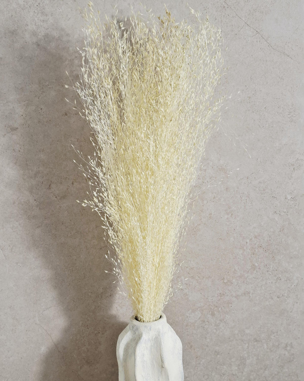 Tall Rice Grass Bundle| Fluffy Dried Grass Bundle | Beige Pampas Style | Airy Boho Bouquet | Wedding Decor | Natural Home Accent