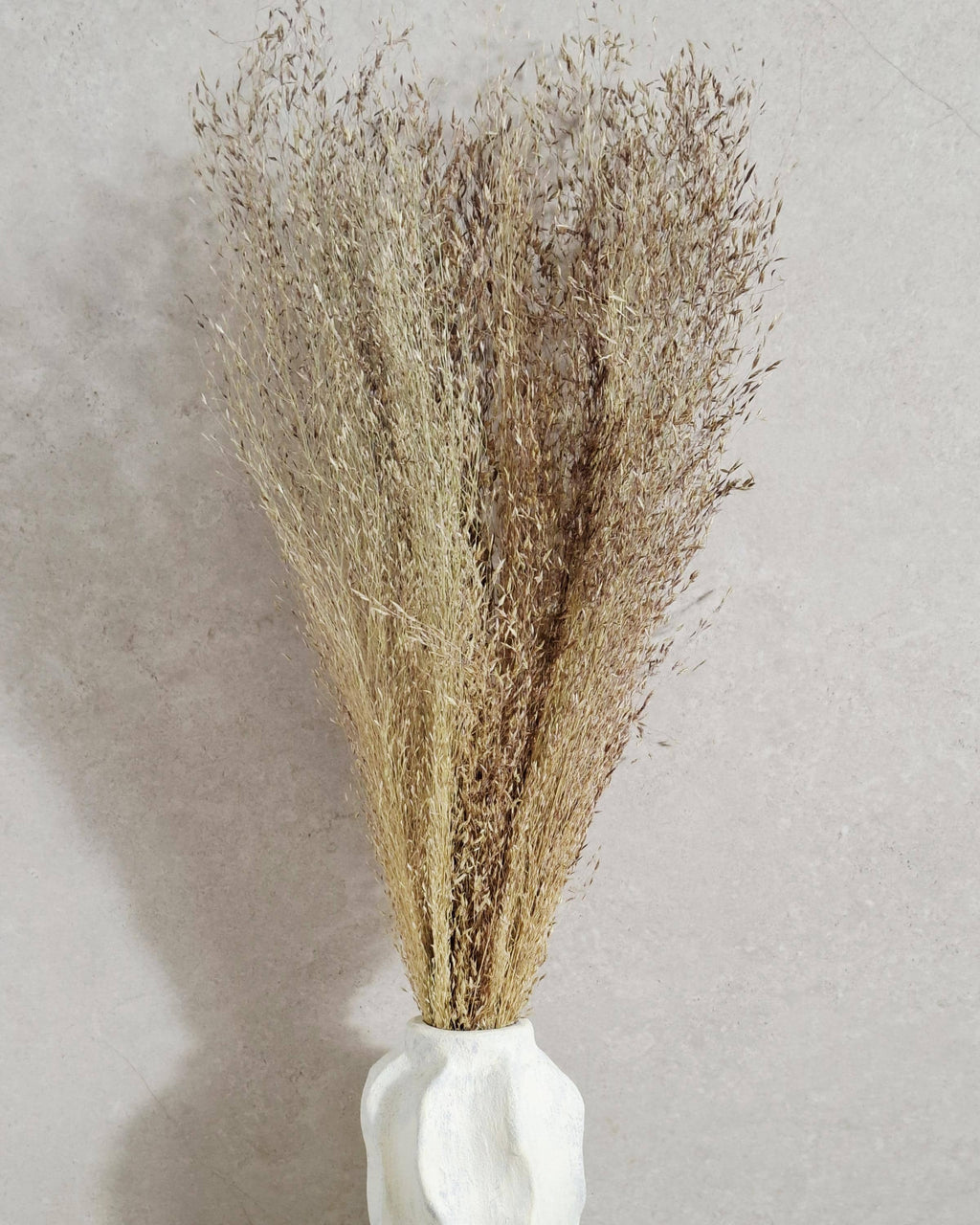 Tall Rice Grass Bundle |Dried Pampas Style Grass | Beige Brown Natural Bundle | Boho Decor | Wedding Arrangement | Rustic Home Accent