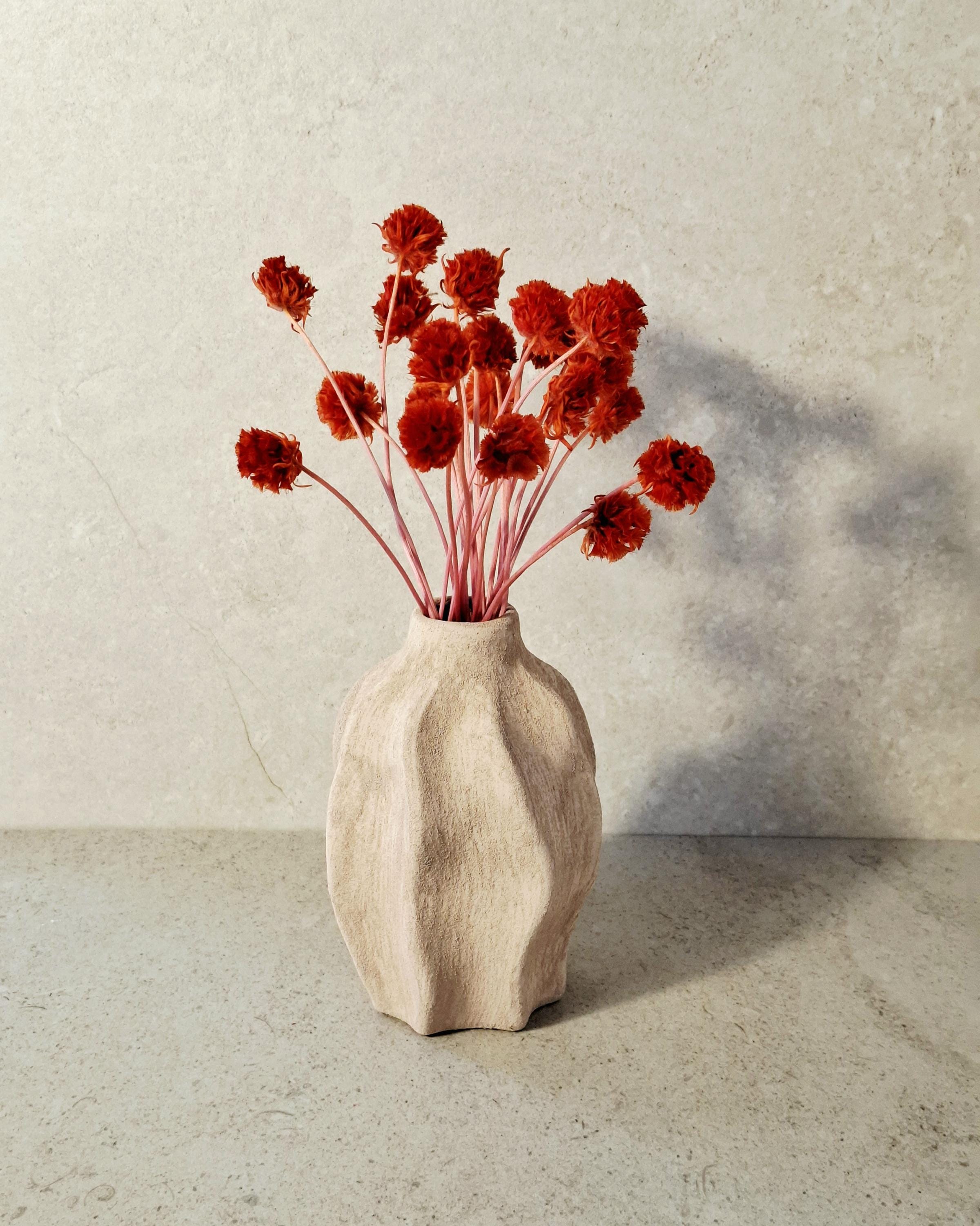 Red Stabilized Scabiosa Pods Stems, Preserved Flower Stems, Florist Supply, Dried Flower Decor, Wedding Florals, DIY Craft, Home Decor