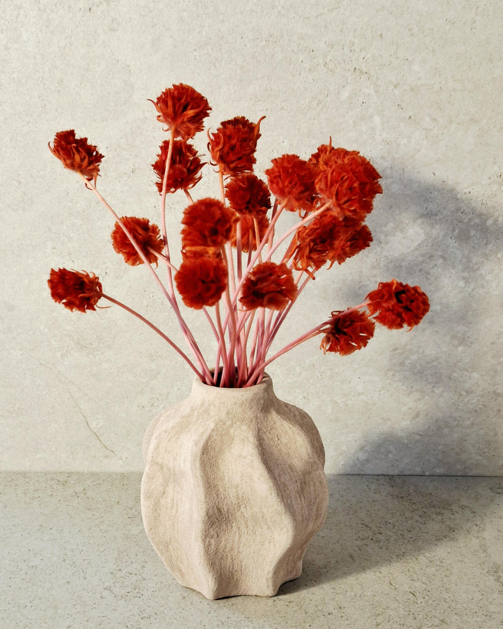 Red Stabilized Scabiosa Pods Stems, Preserved Flower Stems, Florist Supply, Dried Flower Decor, Wedding Florals, DIY Craft, Home Decor
